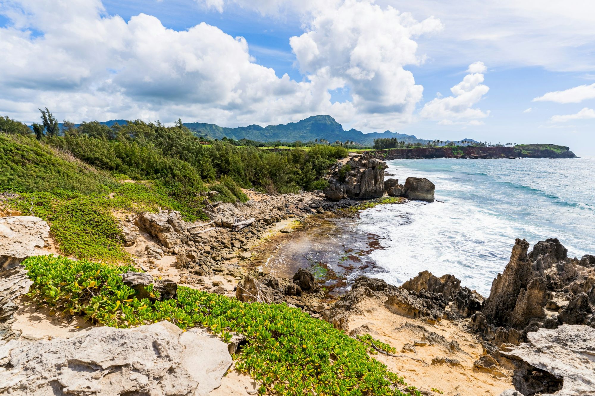 Rocky coastline with sandy patches, green shrubs, and waves crashing against jagged rocks under a blue sky. This tropical scene feels rugged and coastal.