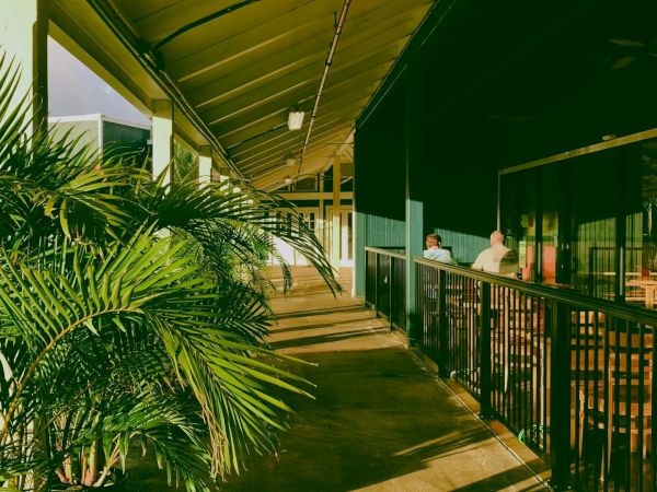 A sunny outdoor walkway of a shopping plaza with railing, potted palms, and storefronts on the right, casting long shadows along the path.