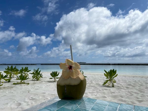 A coconut drink with a flower garnish and straw sits on a blue table at a sunny, white-sand beach with green plants and blue sea in the background.
