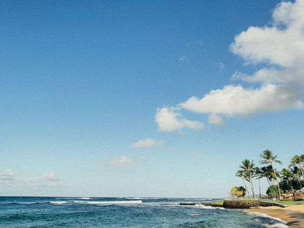 A sunny beach with blue ocean, gentle waves, palm trees, and a clear sky, inviting a relaxing coastal vibe.