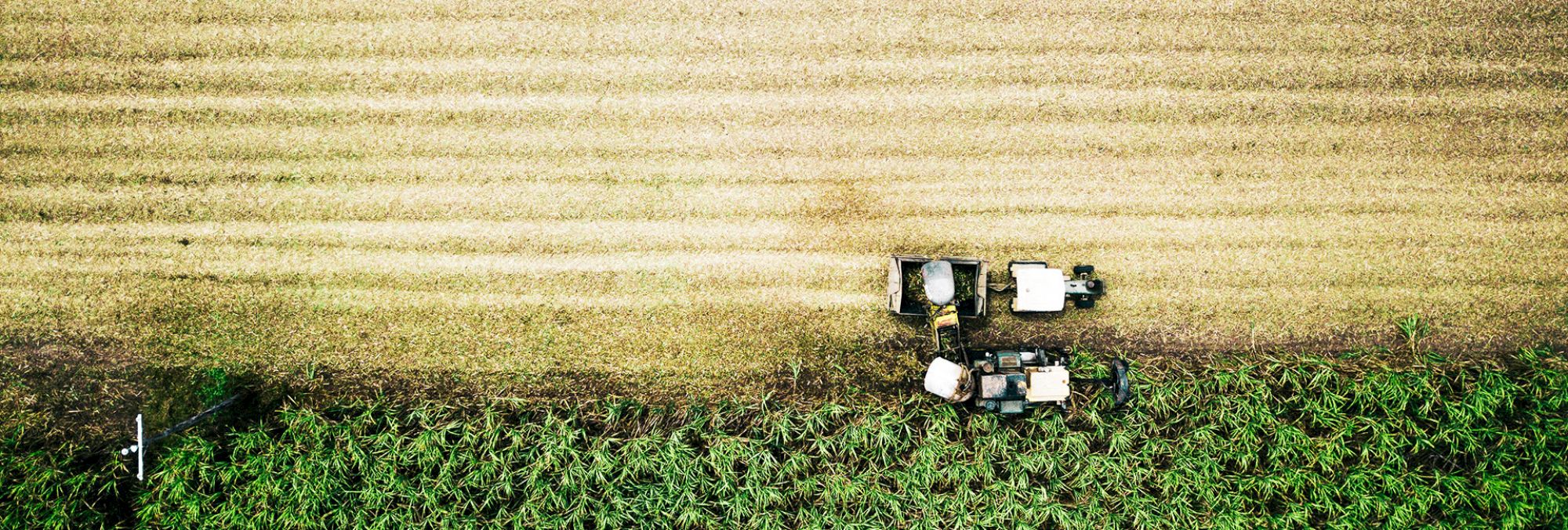 Koloa Landing Resort