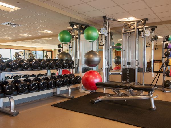A well-equipped gym with free weights, a multi-station rack, balance/medicine balls, and a flat bench on a mat, ready for workouts.