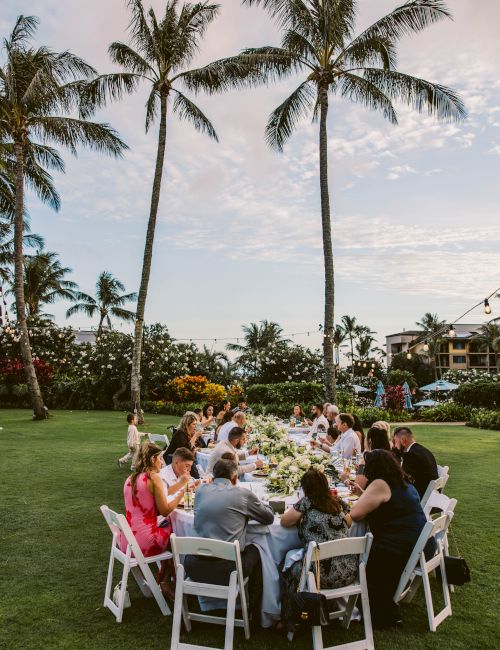 An outdoor reception dinner on a lawn under tall palm trees, with guests seated at a long decorated table.