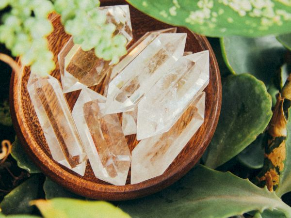 A bowl full of clear quartz crystal points resting among green leaves, catching light beautifully.