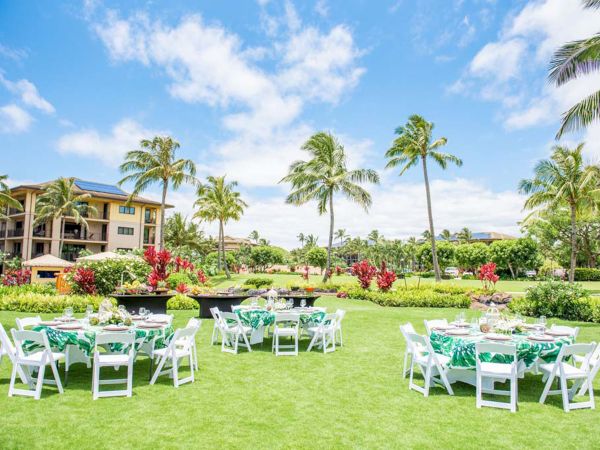 A sunny outdoor lawn with palm trees, tropical flowers, and several white tables with turquoise tablecloths and chairs set up for a garden party.