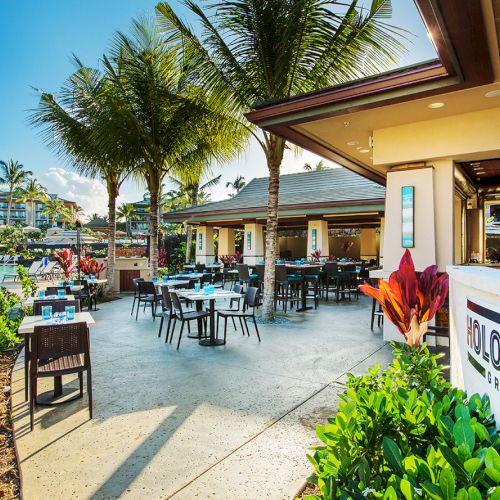 The image shows an outdoor restaurant area with tables, chairs, palm trees, and tropical plants under a clear blue sky.