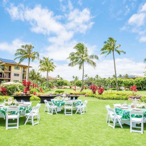 Outdoor setting with tables and chairs on a grassy lawn, surrounded by palm trees and buildings under a clear blue sky.