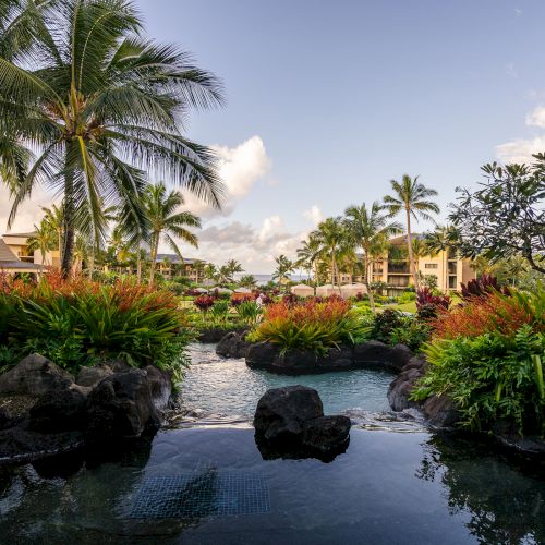 A tropical landscape with palm trees, a small pond, rocks, and lush greenery under a clear sky is depicted in the image.