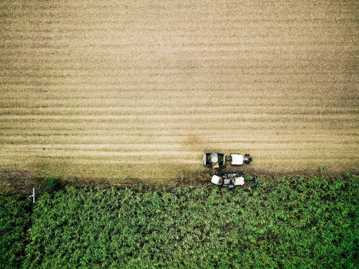 Aerial view of two tractors working a field, dividing a green section from a harvested one, showcasing agricultural work progress.