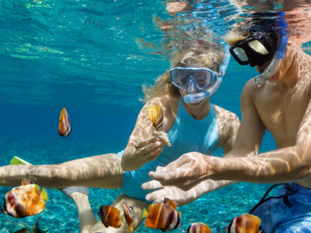 Two snorkelers are underwater, interacting with tropical fish in clear blue water, sharing an engaging and colorful marine experience together.