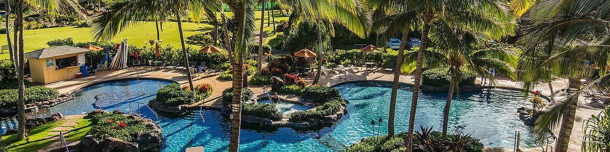 A tropical resort pool with winding blue water, palm trees, rock features, lounge areas, and sunshine, all set in a lush garden landscape.