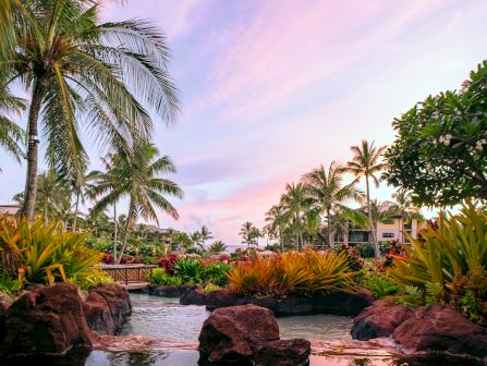 A tropical resort garden at sunset, with tall palm trees, colorful plants, and a small pond reflecting the sky.