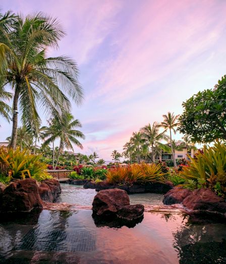 Tropical resort garden at sunset, with palm trees, a small pond and rocks under a pink-purple sky.