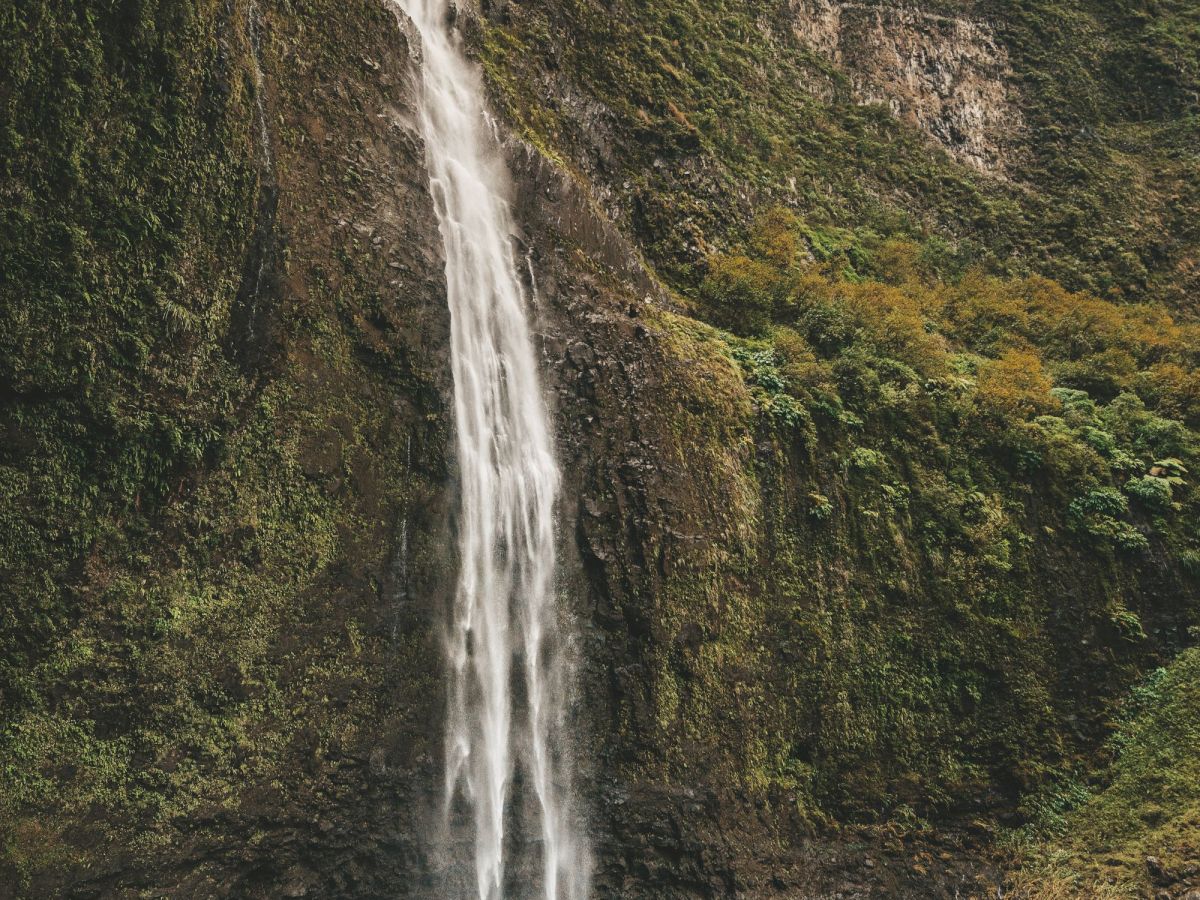 A tall waterfall plunges from a lush green cliff into a pool where a lone swimmer stands below.