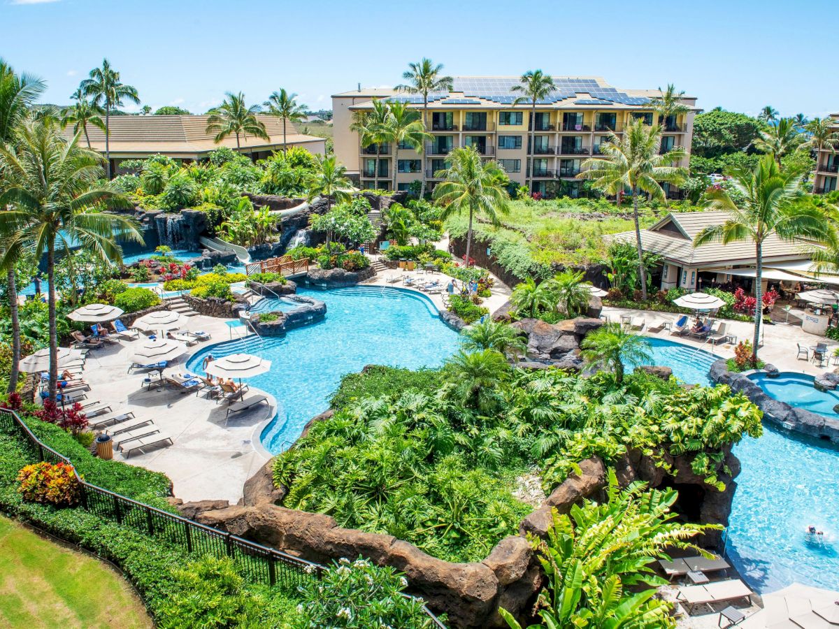 Tropical resort with palm trees, sun loungers, and curving blue pools beside a multi-story hotel with solar panels.