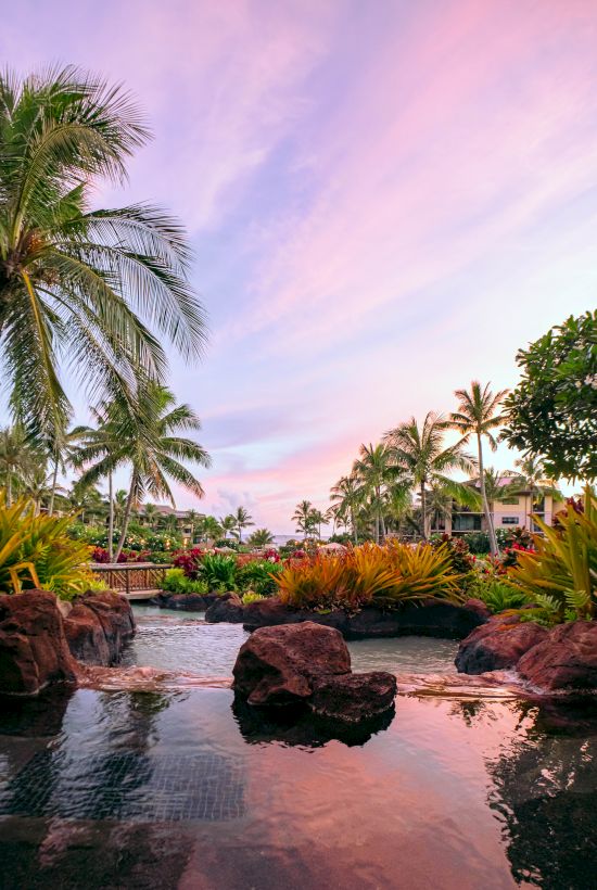 Tropical resort scene with palm trees, a glowing sunset sky, and a small stream flowing past rocks and greenery.